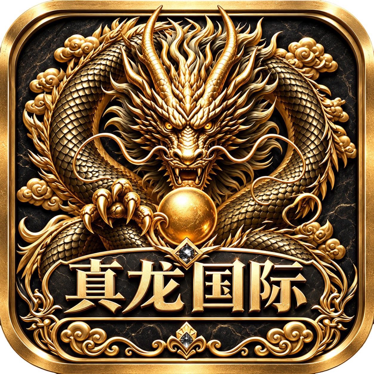 真龙国际